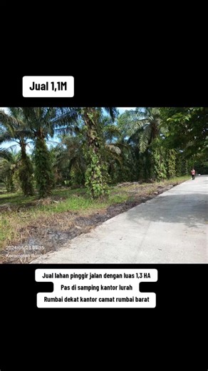 Bismillahirrahmaanirraahiim Di jual lahan pinggir jalan dengan luas 1,3 HA Pas di samping kantor lurah Rumbai dekat kantor camat rumbai barat Tanah padat,dan posisi mantap. Tidak bermasalah yg pasti aman aman aja. Tidak menerima tawaran bagi hasil,ataupun cas bertahap. Jual putus.🤝 Jual 1,1M Cocok bungkus. Minat wa okta/085247215315 #jualtanah #tanah #pekanbaru #pku #pkucity
