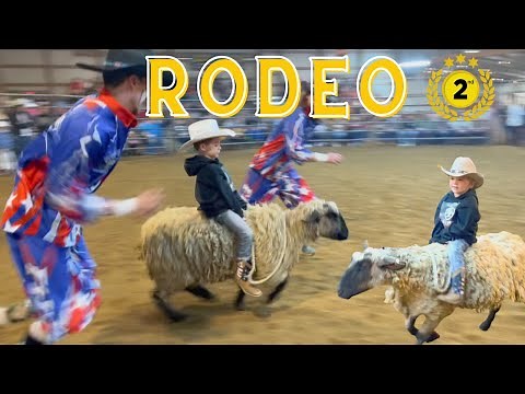 Little Cowboy wins Junior RODEO Sheep Riding! BULL RIDING/COWS/BUCKING/CHUTE/BARN/2ND PLACE