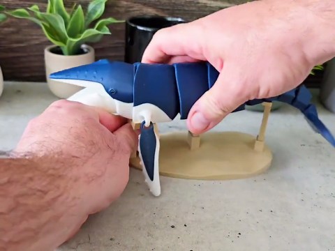 Articulated Humpback Whale Flexi - 11.5" 3D Printed Desk Decor - Etsy