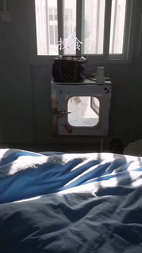 Exploring a Cozy Bedroom with Unique Decor