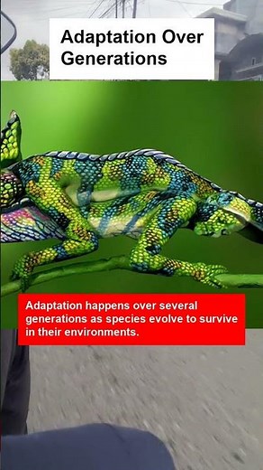 Adaptation Over Generations - OTOMOTIPS