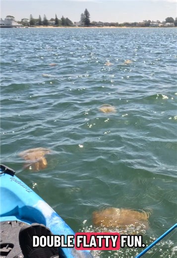 Enjoying Botany Bay Fishing with Double Flatty