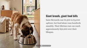 12 dog breeds with puppy prices from $700 to $14,000 and lifetime costs topping $52,000