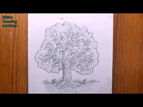 how to draw apple tree step by step/apple tree drawing