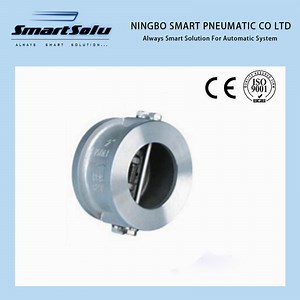 [Hot Item] Wafer Type Dual Disc Check Valve