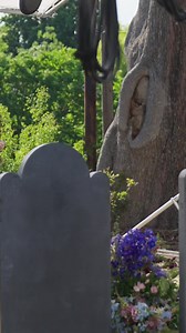 6K views · 45 reactions | ✨ Has the magic returned? ‘Practical...