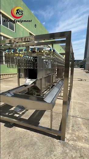 Compact Poultry Slaughter Line | 304 Stainless Steel, Automatic & Reliable