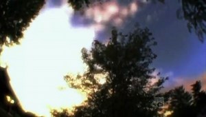 Criminal Mindscape - Ron Luff