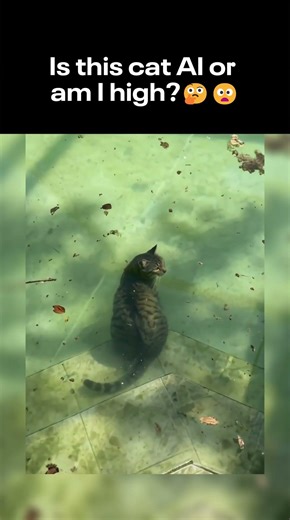hello i'am under water