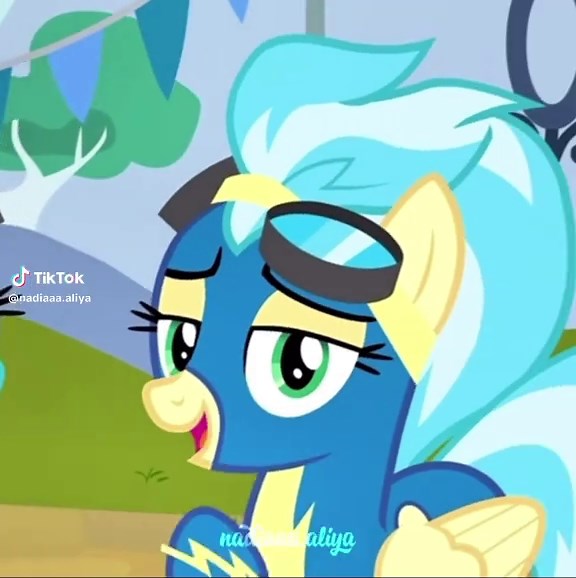 Spitfire: The Best Pegasus in the Wonderbolts