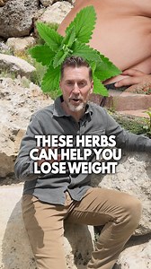 These three garden herbs can help you become as lean and mean as your ancestors! Our ancestors once consumed up to 5,000% MORE HERBS than we do today - a big potential reason why they were leaner and stronger and far less obese than modern man is today. It’s time to bring garden herb consumption back; these three common garden herbs are a good place to start, supporting fasting, weight loss, and helping support lower blood sugar: ✅ Peppermint: Suppresses appetite, reduces cravings, and gives you