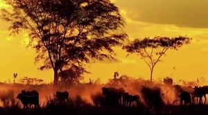 🎇🎇🎇Luar do Sertão. 👇 RESGATE MUSICAL DOS ANOS 70 80 90.🎵🎶🎵 | Resgate Musical dos Anos 70 80 90