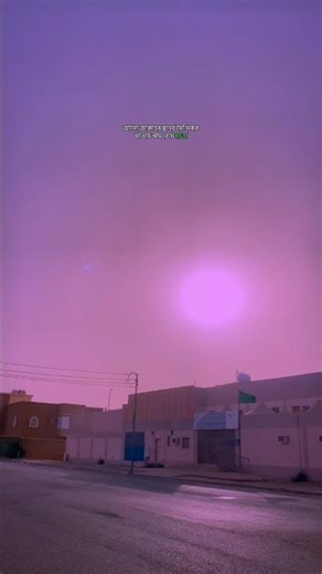 হে মুমিন সৈনিক সফলতা যদি পেতে চাও আসো আল্লাহর দীনের সৈনিকের খাতায় নাম রেখে দাও || Lecture ||🌼✊||