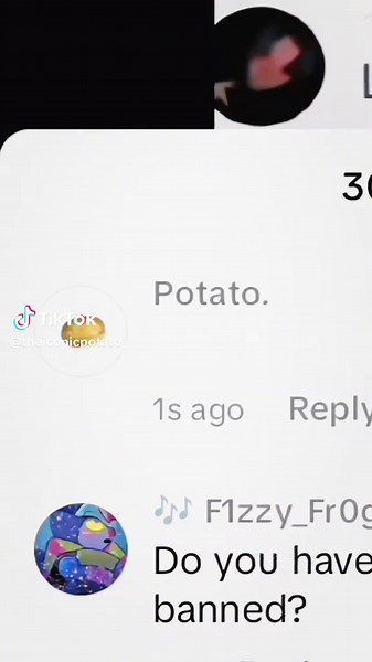 Cas Lyrics: A Heartfelt Apology Song