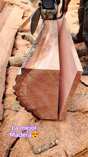 Belleza de Cedro😍 #woodworking #wood #stihl #woodwork #asmr
