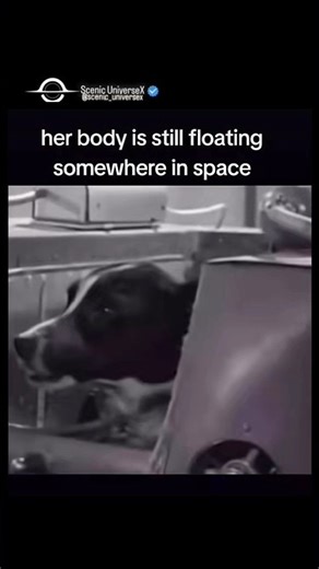 Her Body Is Still Floating Somewhere In Space 🚀🪐 #viral #short