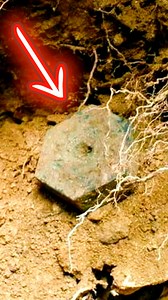 A Powerful Storm uproots a Tree and Underneath was a 2000 year old Ancient Bronze Artifact #ancientartifacts #archaeology #artifact #history #ancienthistory #romania #dacia | History Piece