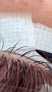 ✨ Classic, but make it better ✨ This set is created with our Ellipse Flat Lashes — lightweight, soft, and super easy to work with. ✔️ C / CC / D curls for custom looks ✔️ Natural to dramatic lengths ✔️ Flat base = better grip & clean results Premium PBT fibre that stays soft and holds its curl. Classic sets, done right 🤍 Shop now at tdancelashes.com or download the TDANCE App 🤗 . . . . . . 🇺🇸𝗨𝗦: ✨ 𝗡𝗲𝘄 𝘂𝘀𝗲𝗿𝘀: 𝟯𝟬% 𝗼𝗳𝗳 𝘄𝗶𝘁𝗵 𝗰𝗼𝗱𝗲 𝗡𝗘𝗪𝗨𝗦 🚚 𝗙𝗿𝗲𝗲 𝘀𝗵𝗶𝗽𝗽𝗶𝗻𝗴 $𝟴