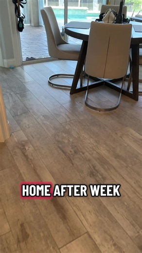 French Bulldog Obedience Training Week 3: Progress & Tips