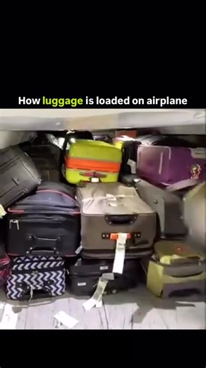 Inside reports on Instagram: "How luggage is loaded on airplane"