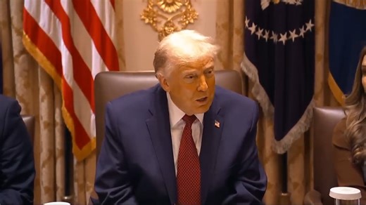 'They caused it, we're fixing it': Trump tries to bend the truth, blames his economic blunders on Democrats during farmers roundtable