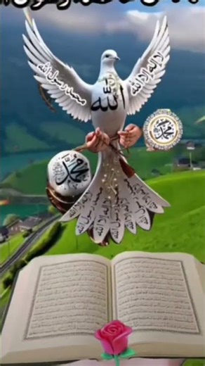 A Allah tara har ata par #shortvideo