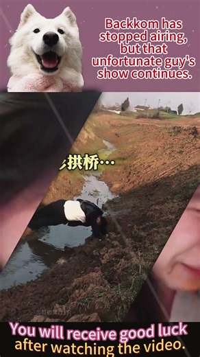 The funniest moments compilation #viral spread