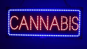 "Cannabis" LED Business Sign - Extra Bright High Quality LEDs, Can Be Seen Through Tinted Windows. Extra Large 32 inches Wide (#3365)