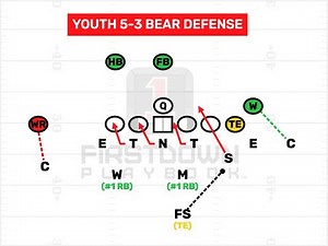 5 3 Bear Youth Defense