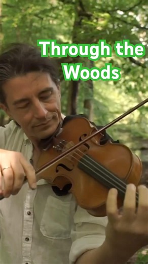 ☘️Through the Woods - Wild Fiddler Original 🎻