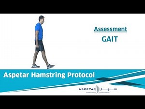 3. Assessment - GAIT (WALKING)