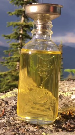 Wilderness Therapy Oil: Nourishing Forest Medicine for Skin and Health