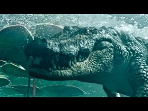 Crawl - Alligator All Scary Scenes I New Alligator Movie 2019 [FHD]
