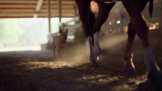 Tractor Supply Co. TV Spot, 'Community'