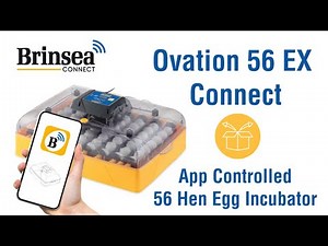 Unboxing the Brinsea Ovation 56 EX Connect - App-Controlled Smart Incubator