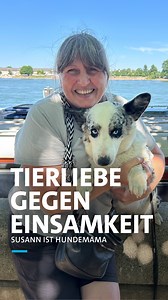 42K views · 419 reactions | Susann ist chronisch krank und hat sich früher oft einsam gefühlt. Ihre beiden Welsh Corgi Cardigans Amie & Bingo halten sie auf Trab und geben ihr einen Rhythmus im Alltag, auch wenn es ihr an manchen Tagen nicht so gut geht. Heute sagt sie: „Ich bin ganz oft alleine, aber fühle mich dann nicht einsam.“ #SWRHeimat | Landesschau Rheinland-Pfalz | Facebook