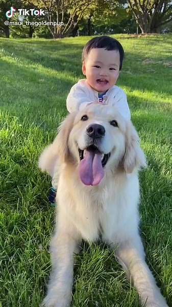 Maui+Ruby &Hugo on TikTok