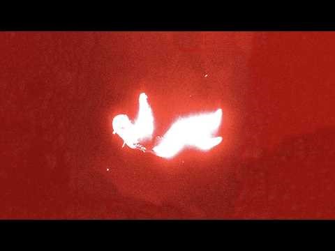 glowdown - C.EME (Visualizer)
