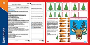 EYFS Christmas Tree Subitising Adult Input Plan and Resource Pack
