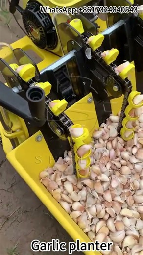 Inside Our Garlic Planter Factory – See Precision Planting Technology in Action!