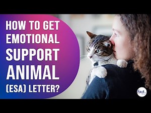 How to Get an Emotional Support Animal Letter? | Fast ESA Letter