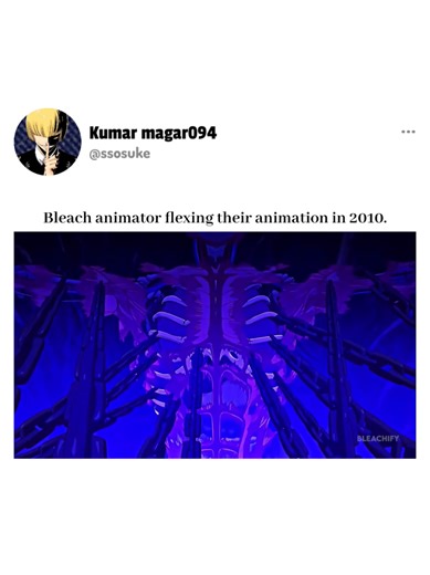 Bleach Animation Highlights from 2010