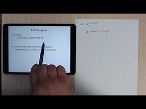 Biochemistry - Ch 15 - Introduction to Metabolism