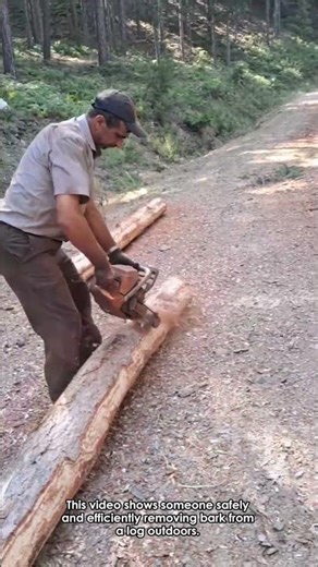 The Importance of Bark Removal