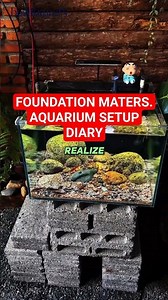 The Cheapest DIY Aquarium Ecosystem Setup you NEED!🔴 (You don't realize this) #lifehacks #usashorts