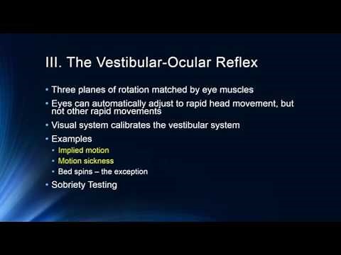 The Vestibular System