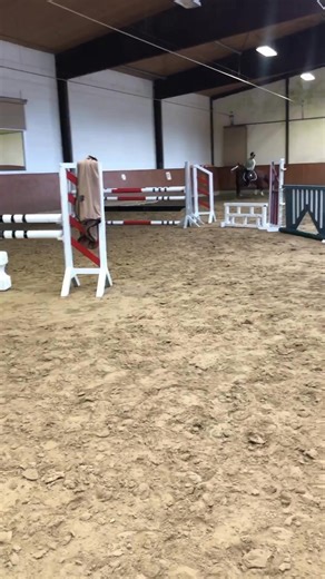 A talented German Riding Pony with perspective 🧡🐴 This 9-year-old gelding (145 cm) combines charm, quality, and great jumping ability. Well-mannered, healthy, and currently in professional training – a partner who can immediately step into the show ring 🏆. With bloodlines from Magic Cornflakes x Catness, his pedigree promises talent and proven performance. A pony that will delight ambitious riders 🌟. Worth a look ⬇️ https://www.ehorses.com/german-riding-pony-gelding-9years-145-cm-chestnut-sh