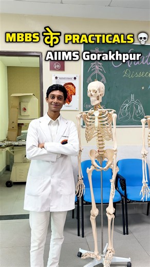 MBBS 1st Year Practicals 🫀| Medical College Life 🩺✨ #shorts #aiims #neet #practical #anatomy