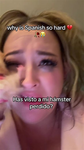 Why Is Spanish So Hard? Insights on Learning Challenges