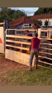 1.4M views · 11K reactions | MOISES SILVEIRAMP competitor rodeo training #rodeoh #rodeoqueen #rodeohs #Rodeorealty #rodeofashion #rodeophotography #RodeoDrive #rodeofun #rodeoand5th #rodeosport #rodeolife #rodeostyle #rodeocowgirl #RodeoShow #RodeoCrowns #rodeoready #rodeos #rodeotraviscott #rodeocrownswidebowl #rodeoand5thlifestyle #rodeotime #RodeoAustin #rodeodriveboutique #rodeotimetuesday #rodeogirls #rodeohouston #rodeo #rodeohorse | RODEO Channel | Facebook